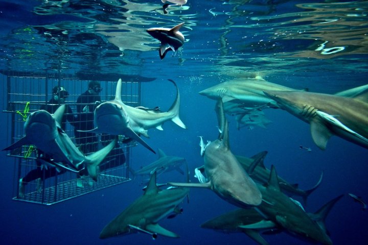 a group of people sitting at a bird in the water